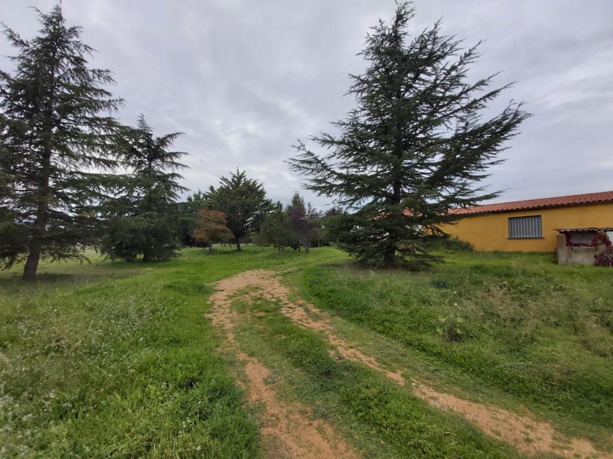 Casa Chalet En El Campo Barbadillo Kültér fotó