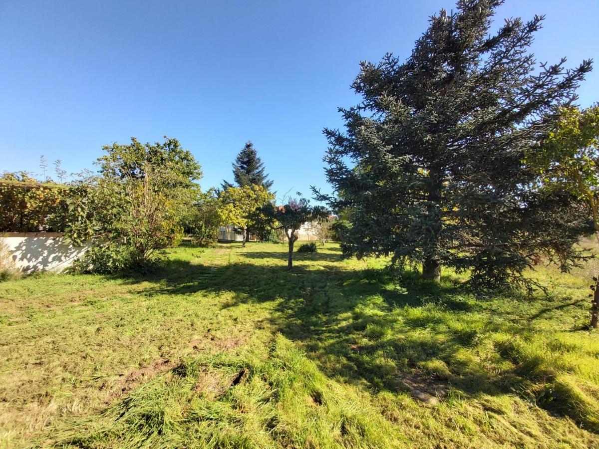 Casa Chalet En El Campo Barbadillo Kültér fotó