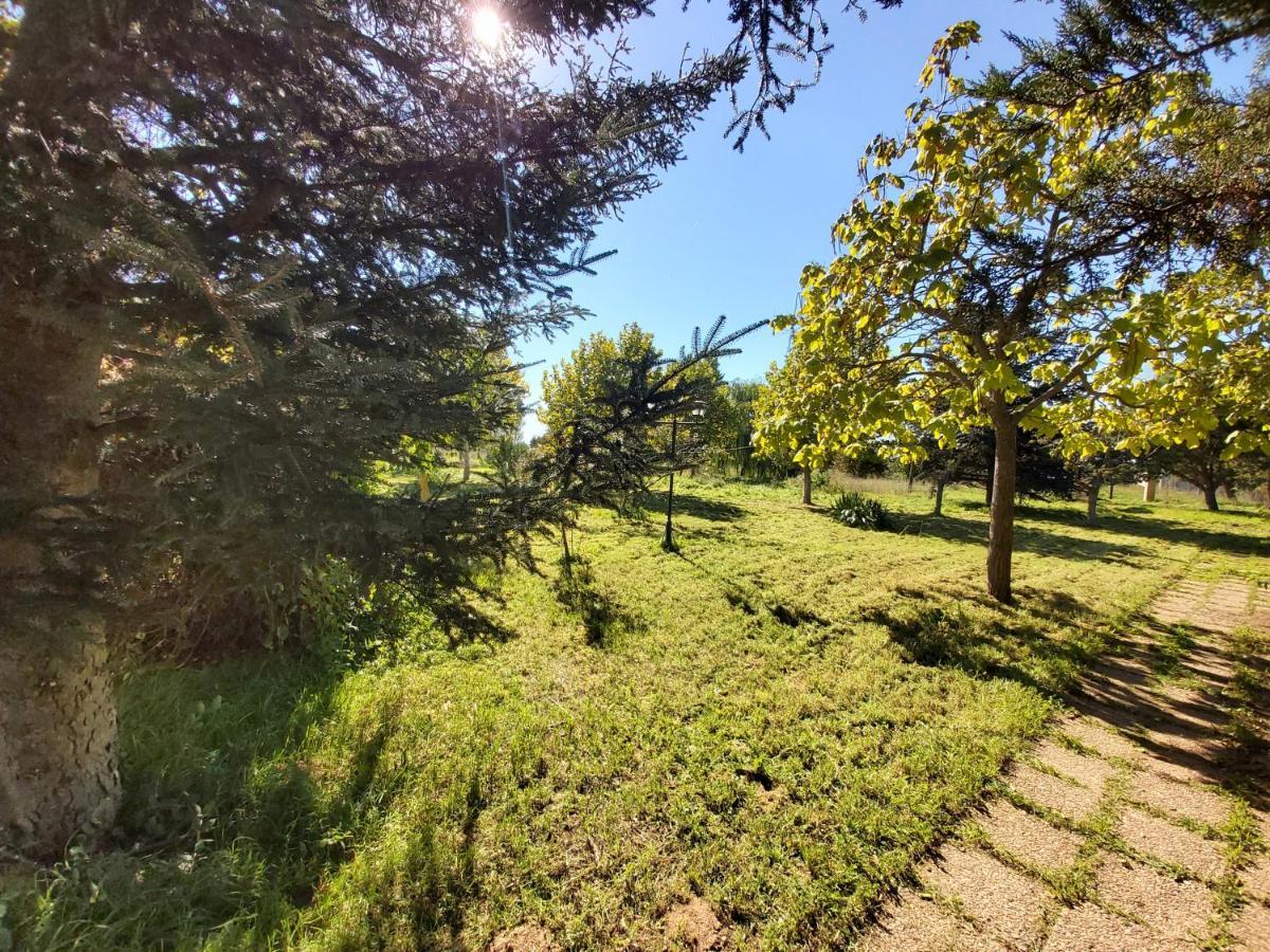 Casa Chalet En El Campo Barbadillo Kültér fotó