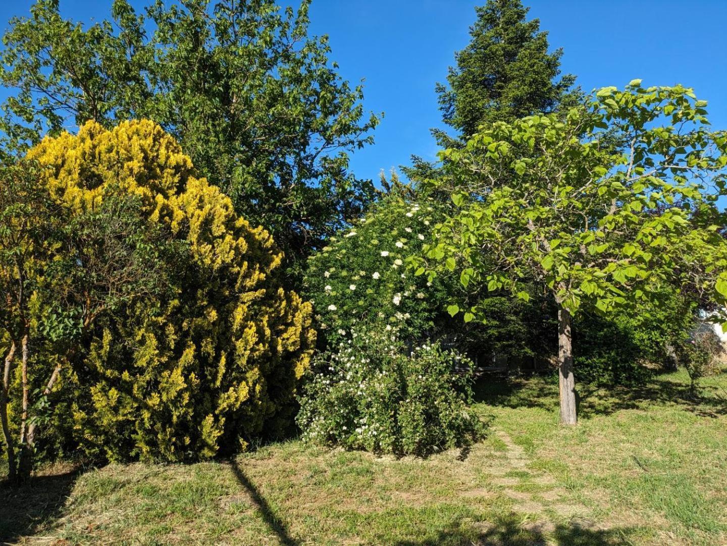 Casa Chalet En El Campo Barbadillo Kültér fotó
