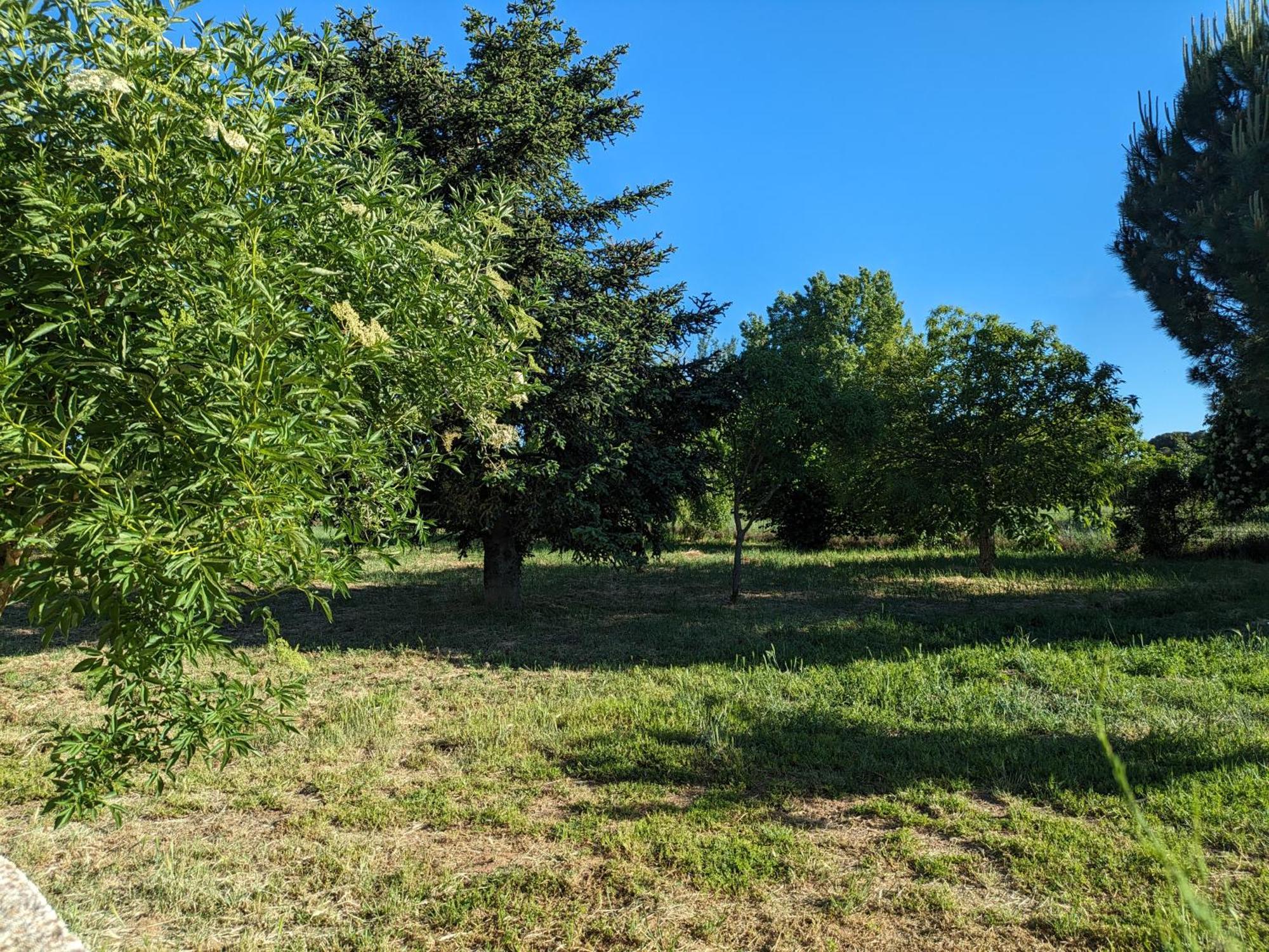 Casa Chalet En El Campo Barbadillo Kültér fotó